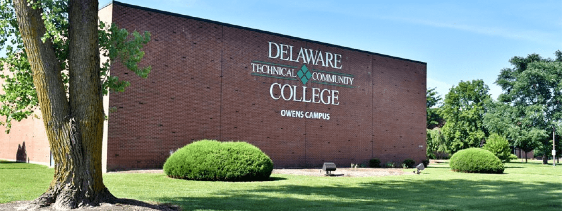 College and University Track Field Teams Delaware Technical
