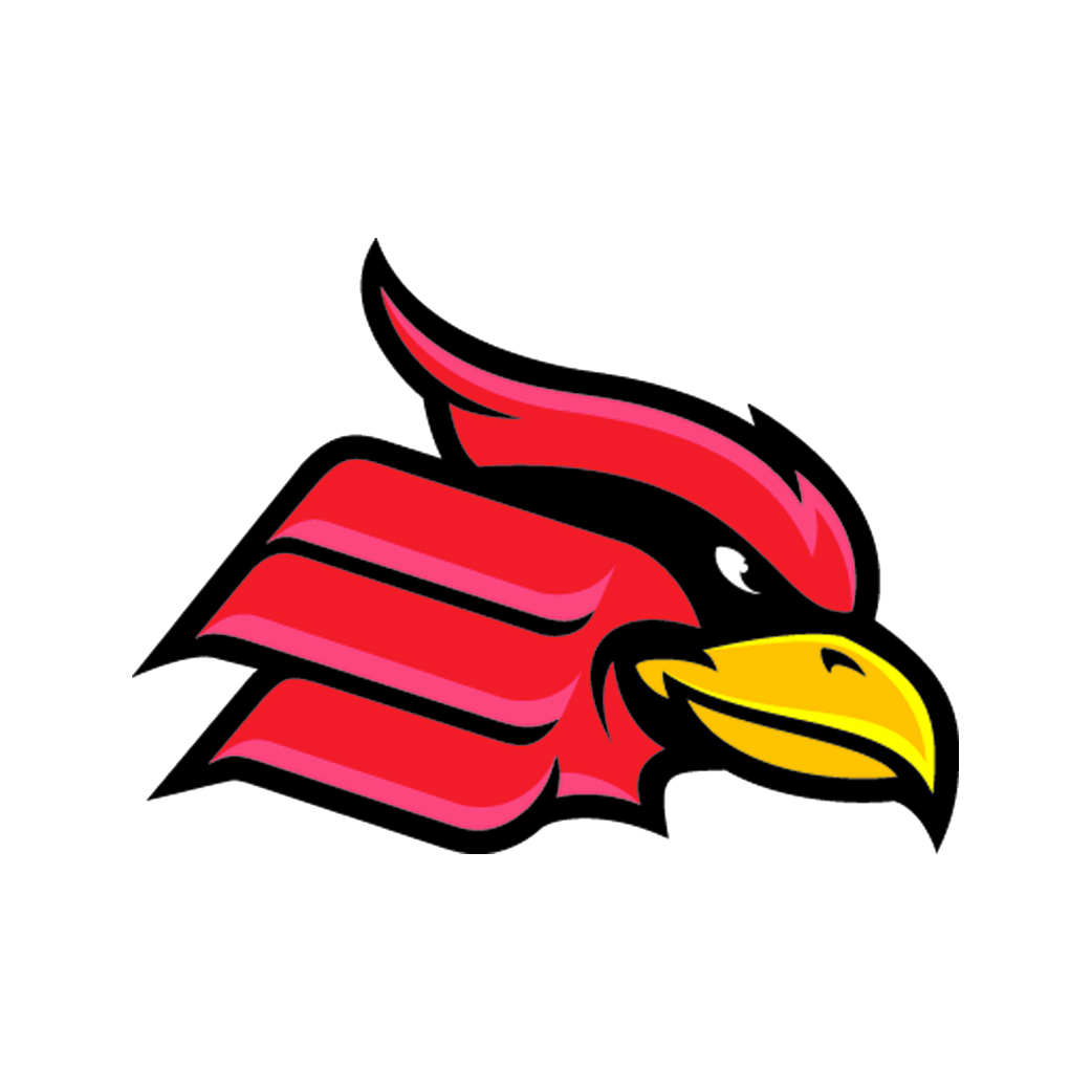 College and University Track & Field Teams | Wheeling Jesuit University