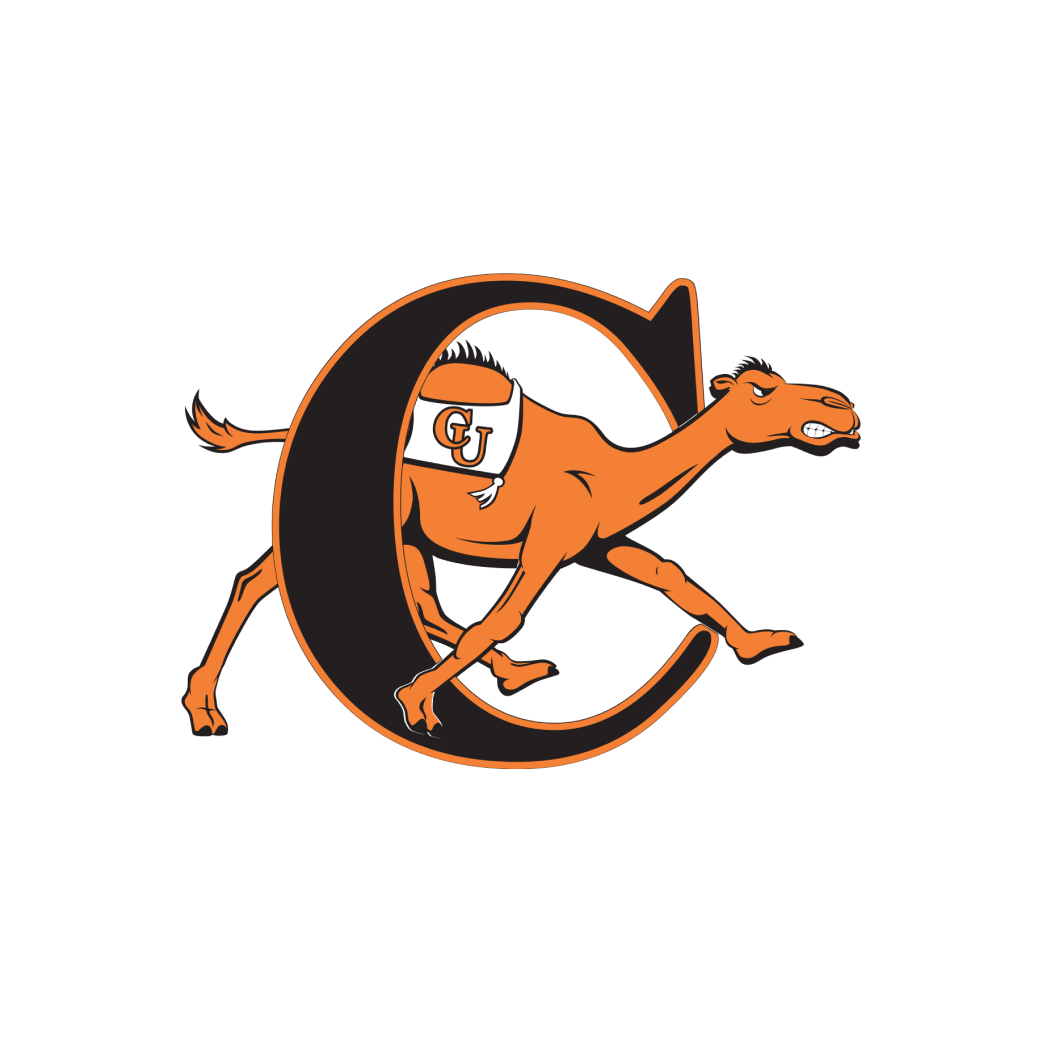 College and University Track & Field Teams Big South Conference